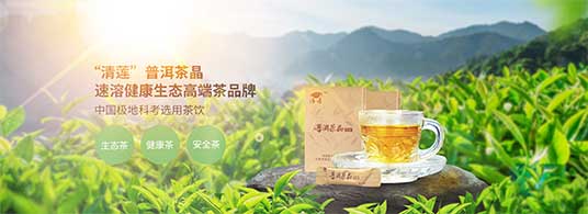 清莲普洱茶晶-缔造茶之精华