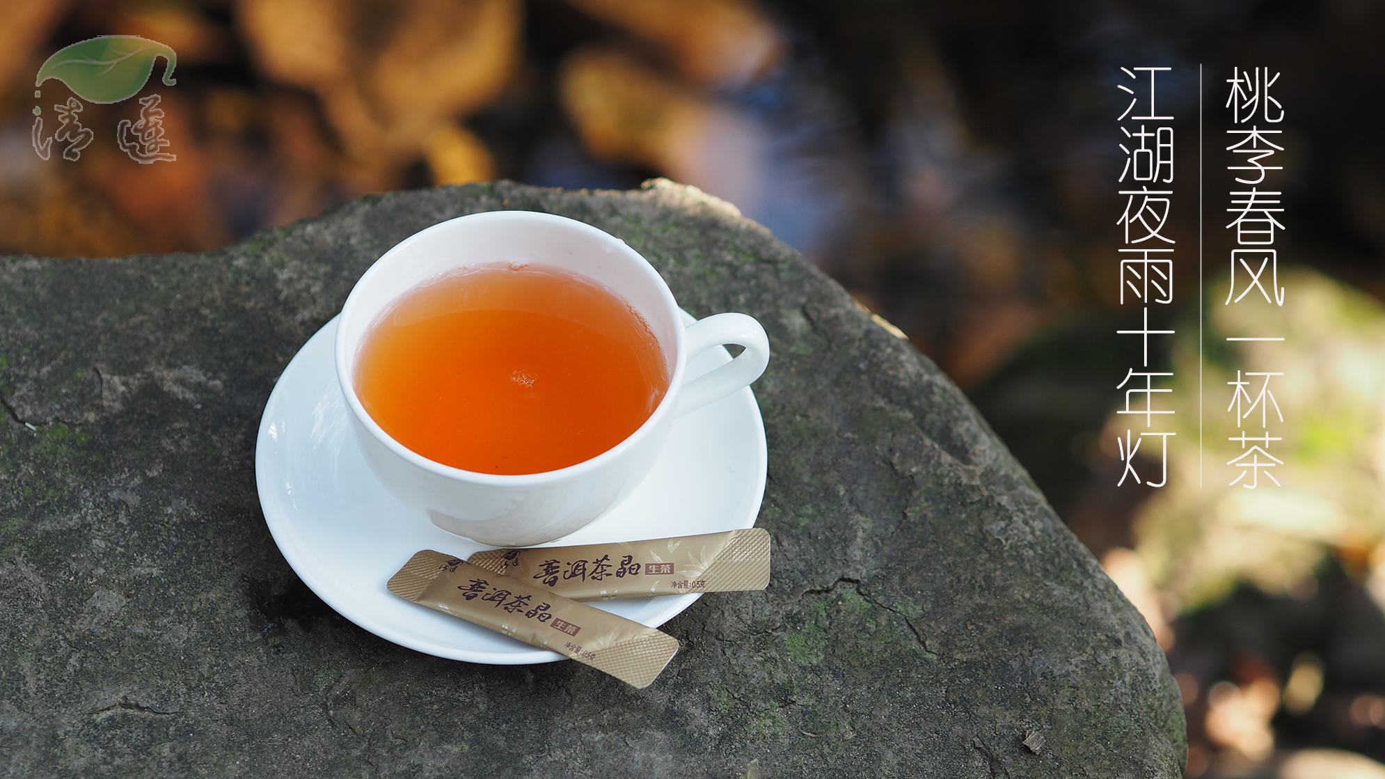 桃李春风一杯茶 普洱茶图片