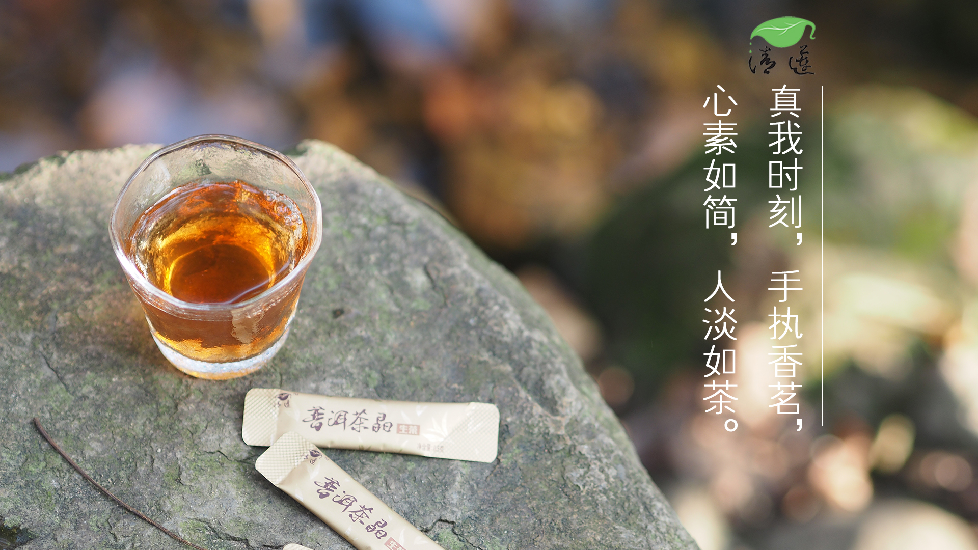 真我时刻，手执香茗 清莲茶话