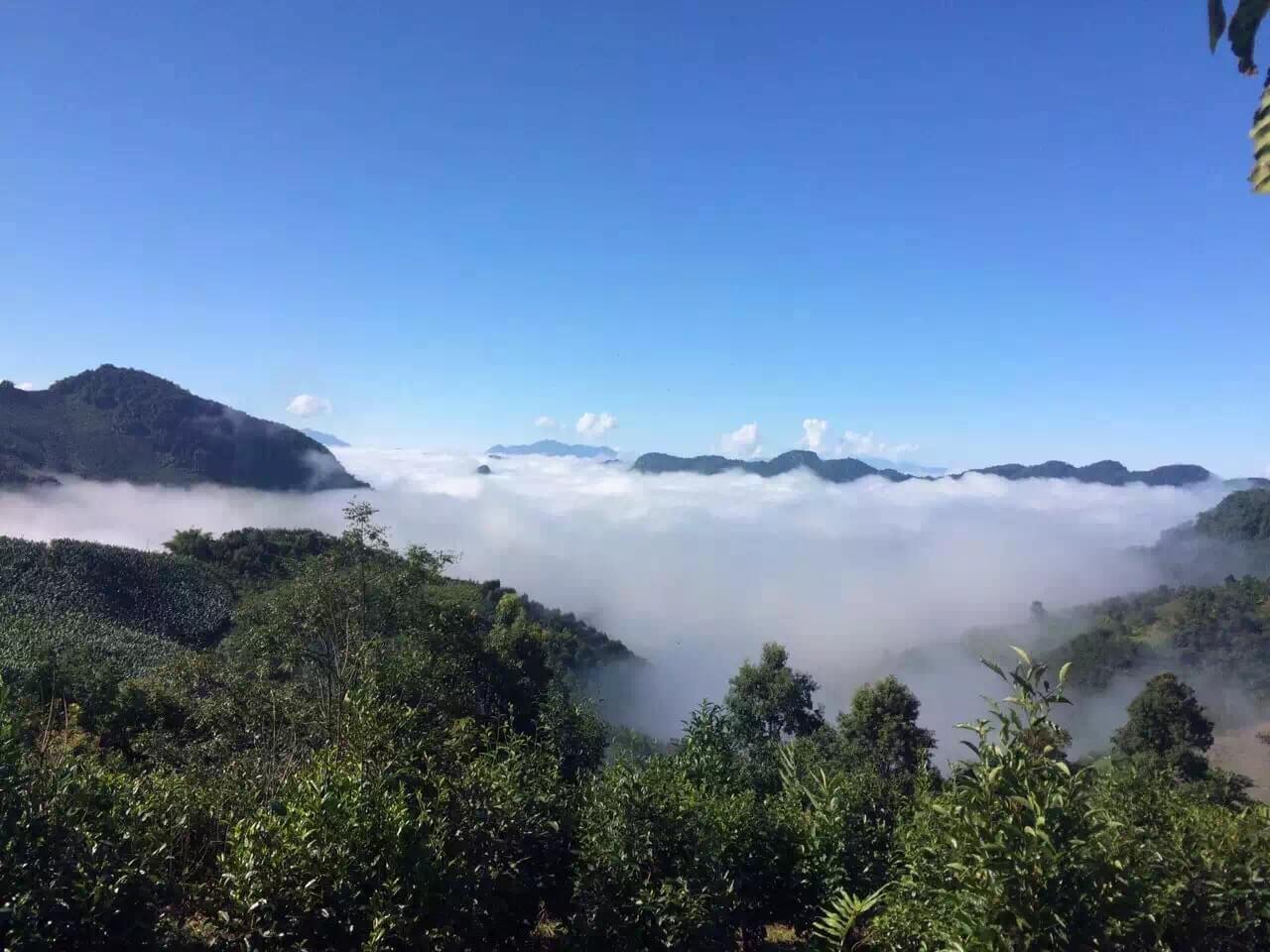 易武历史长河中的普洱茶故乡 普洱茶膏